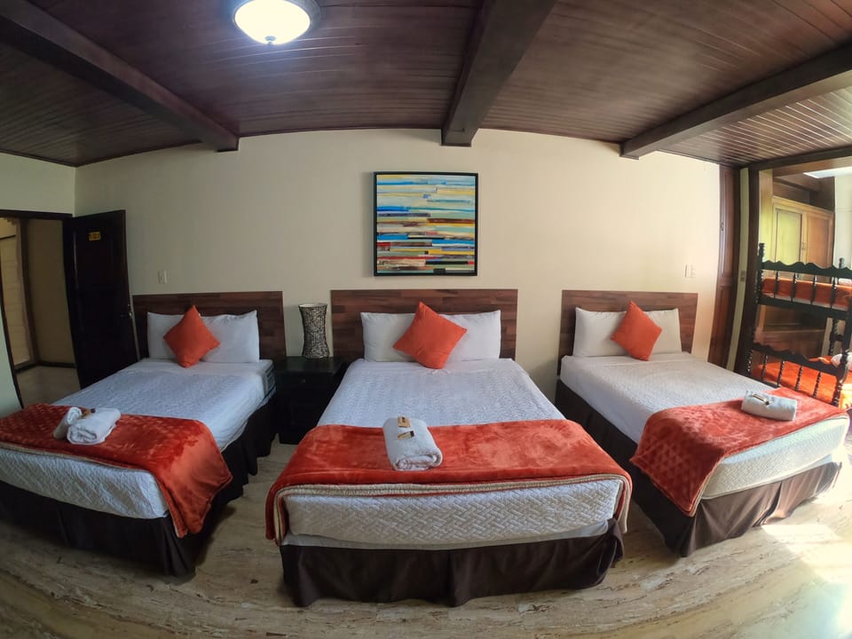 Traditional Triple Room | Premium bedding, down comforters, minibar, individually decorated
