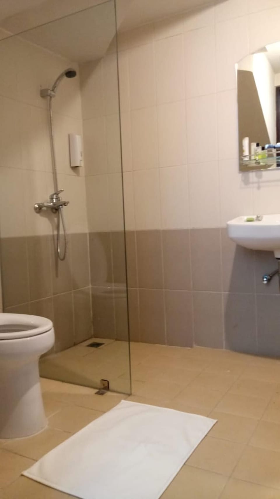 Shower, towels, soap, shampoo
