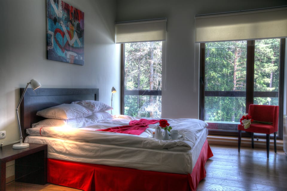 Premium bedding, down comforters, in-room safe, desk