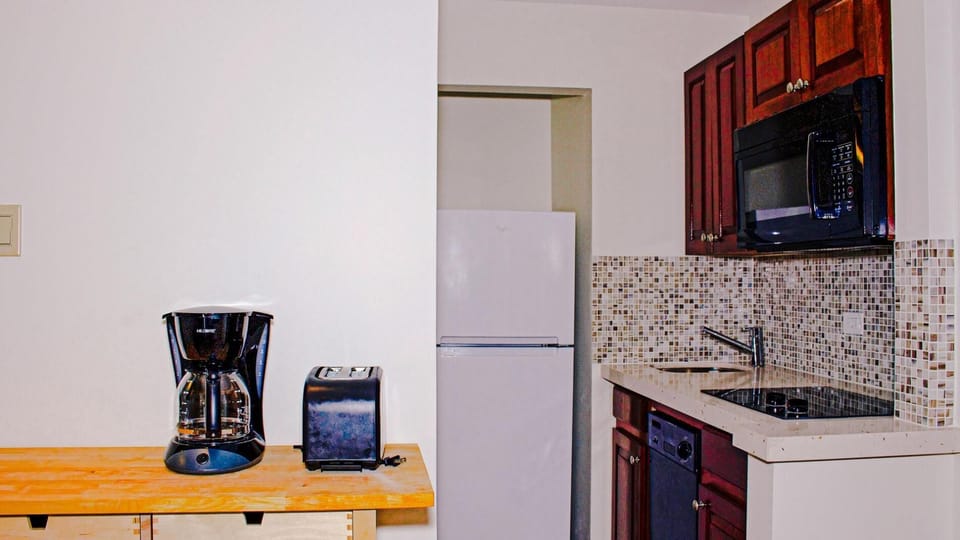 Full-size fridge, microwave, oven, stovetop