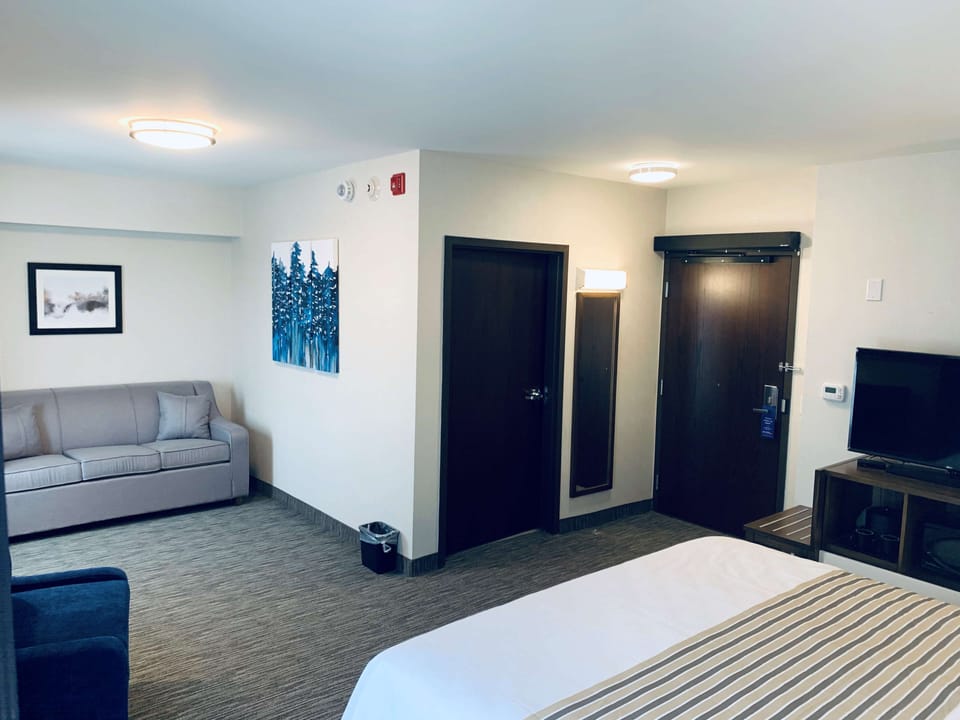 Standard Room, 1 King Bed with Sofa bed, Non Smoking, Refrigerator & Microwave (with Sofabed) | Premium bedding, pillowtop beds, iron/ironing board, free WiFi