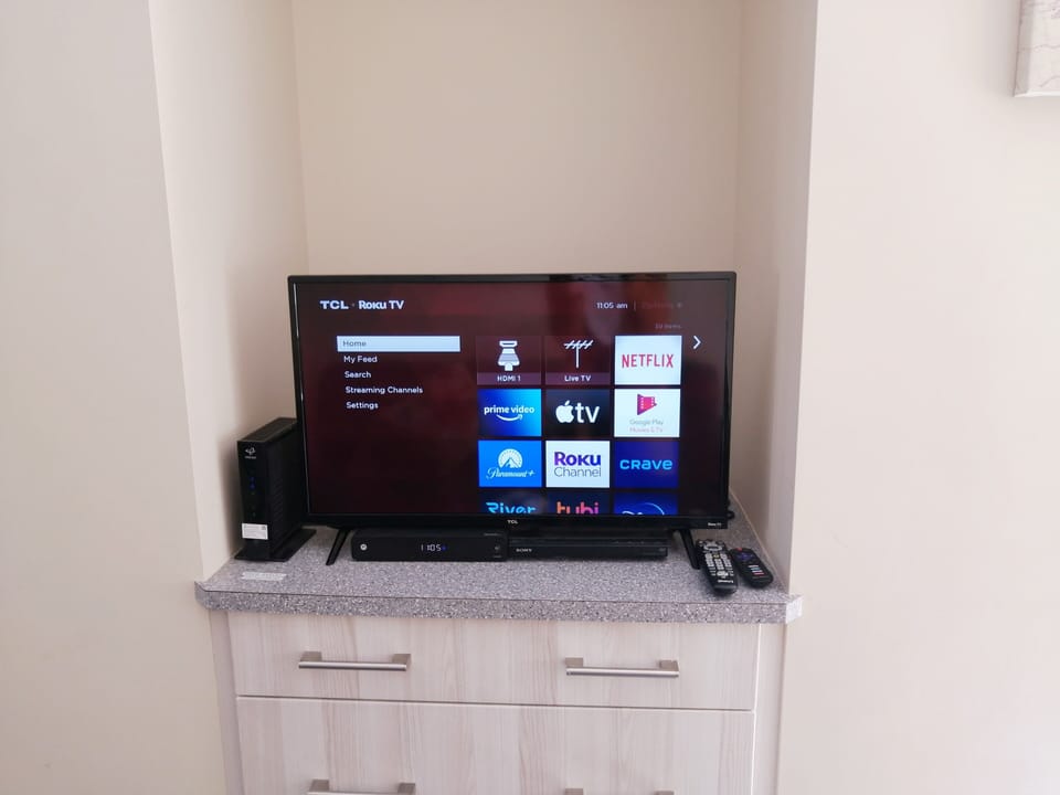 Smart TV with Netflix