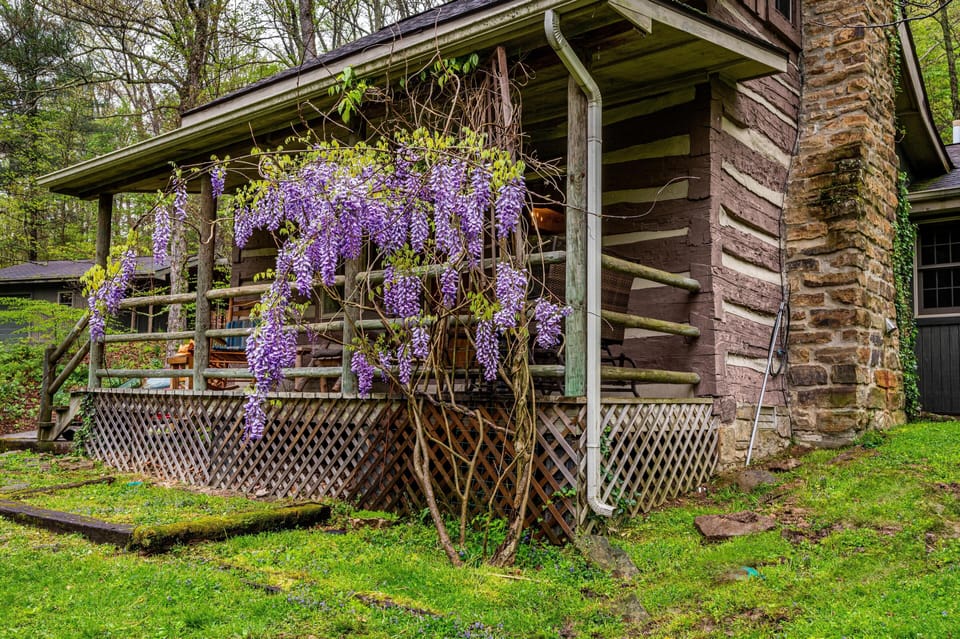 Charming rustic cabin porch framed by vibrant wisteria blooms, perfect for relaxing in a peaceful wooded setting.