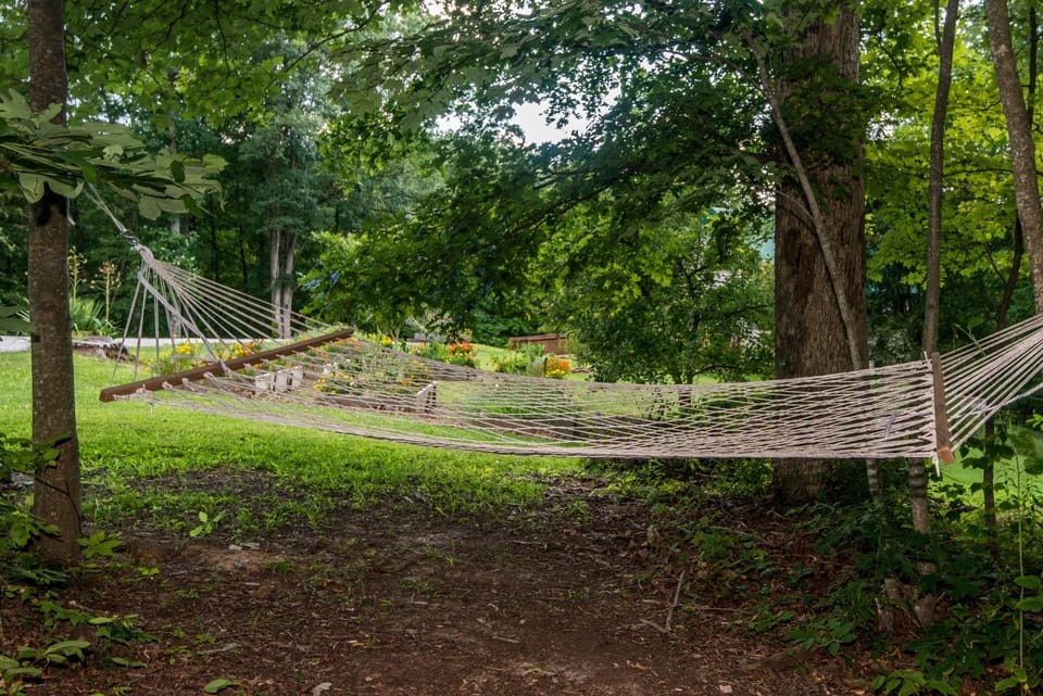 Rope hammock stretched between two trees in a shaded woodland area with sunlit garden beds in the distance.