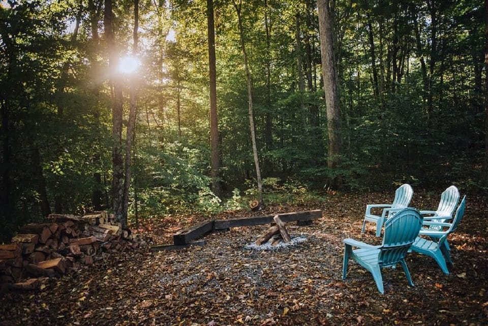 Four blue Adirondack chairs encircle a small fire pit on a leaf-covered forest floor at sunset.