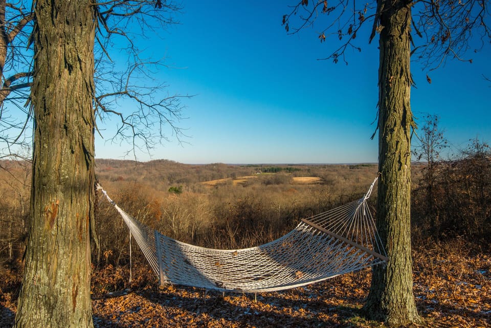 White rope hammock suspended between two tall trees, overlooking a vast autumn forest under a clear blue sky.