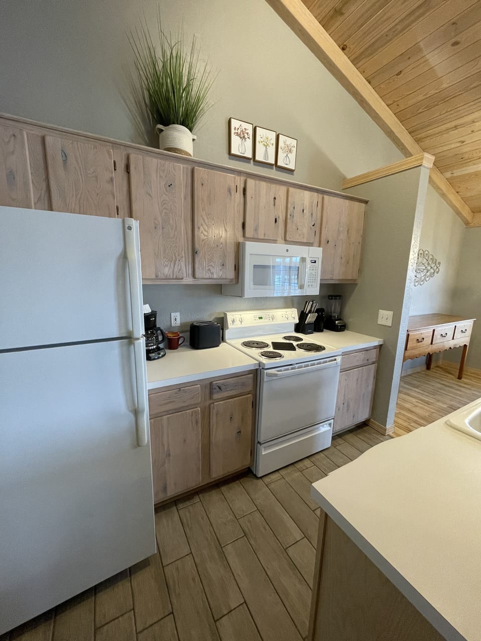 Full-size fridge, microwave, oven, stovetop