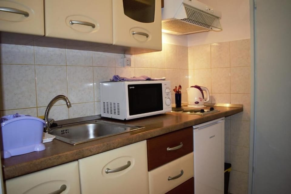 Studio | Private kitchen | Fridge, microwave, oven, stovetop