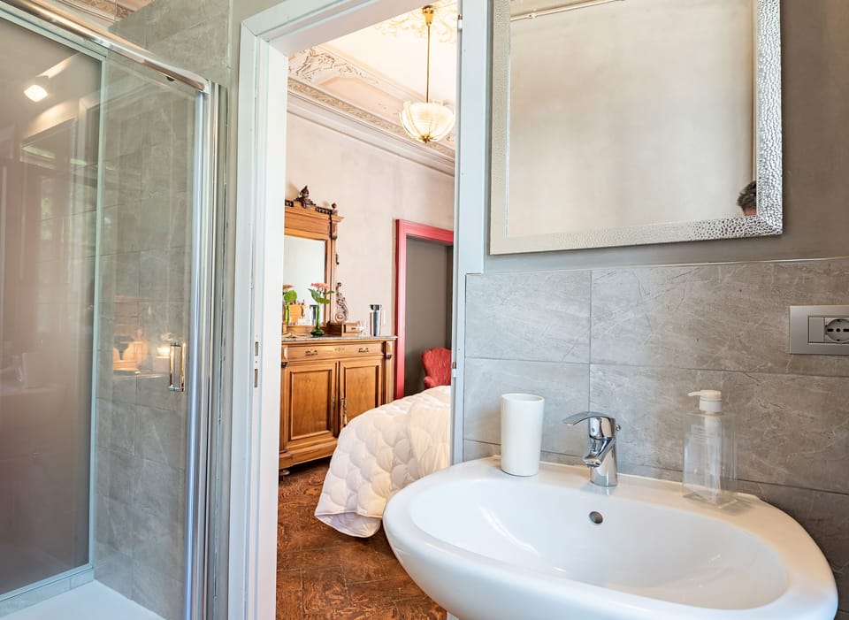 Deluxe Double or Twin Room | Bathroom | Shower, hair dryer, bidet, towels