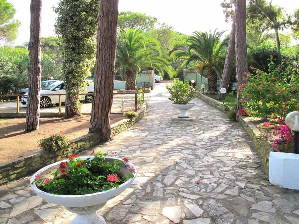Property, Garden, Landscaping, Flagstone, Botany, Real Estate, Walkway, Backyard, Courtyard, Tree