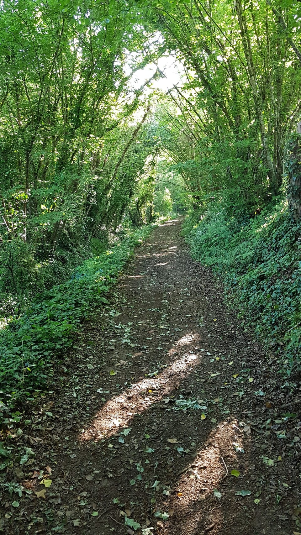 Hiking