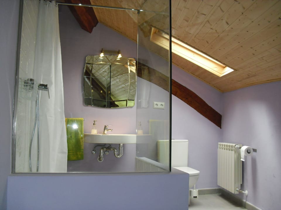 Double or Twin Room | Bathroom | Shower, hair dryer, towels, soap