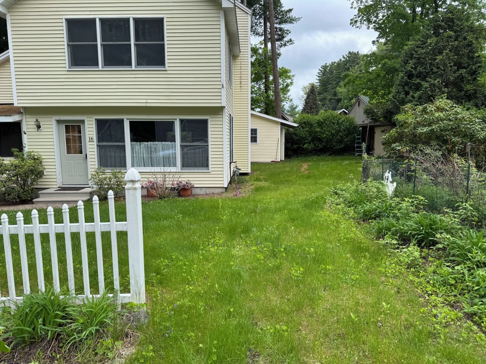Front and side yard