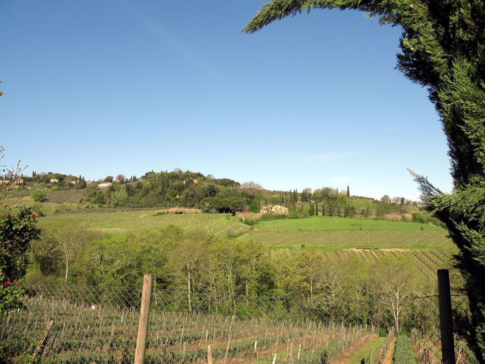 Natural Landscape, Vegetation, Pasture, Natural Environment, Tree, Grass, Sky, Grassland, Land Lot, Property