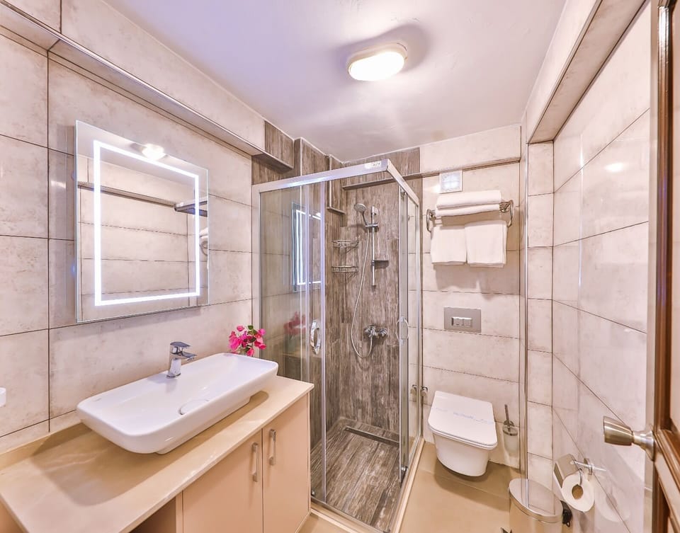 Shower, hydromassage showerhead, free toiletries, hair dryer