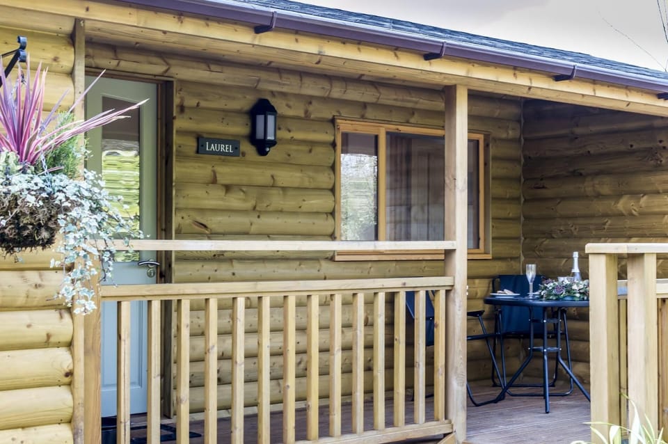 Laurel Lodge - 2 Bedroom Log Cabin - St Florence (353)