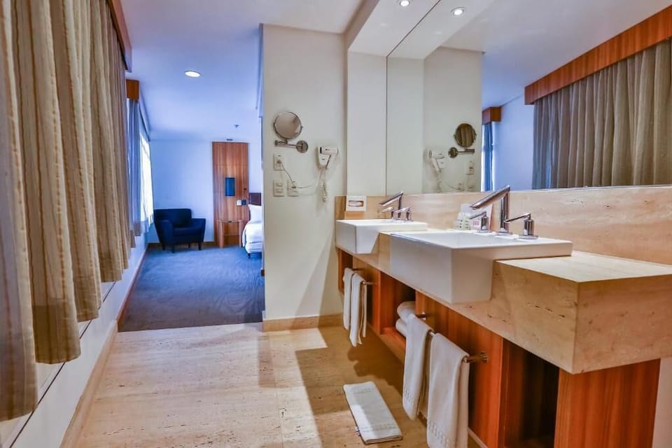 Presidential Suite | Bathroom | Free toiletries, hair dryer, towels