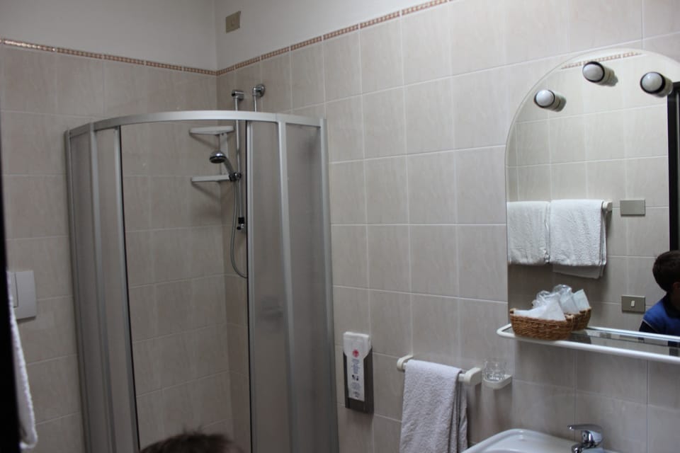 Double or Twin Room | Bathroom | Shower, hair dryer, towels