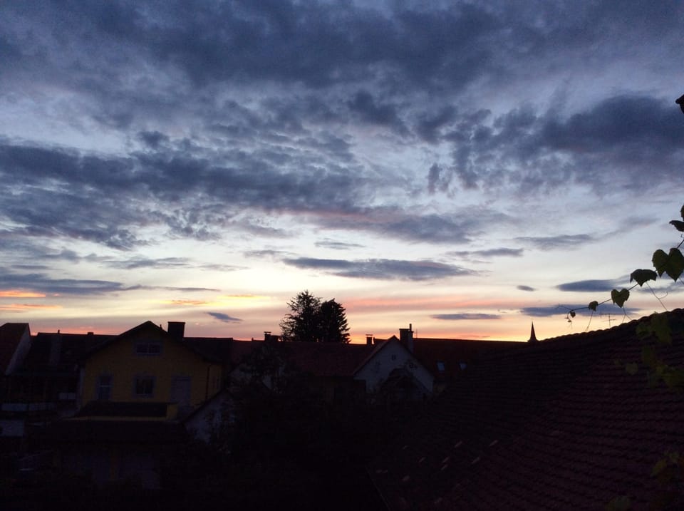 Apartment, Balcony | View from room