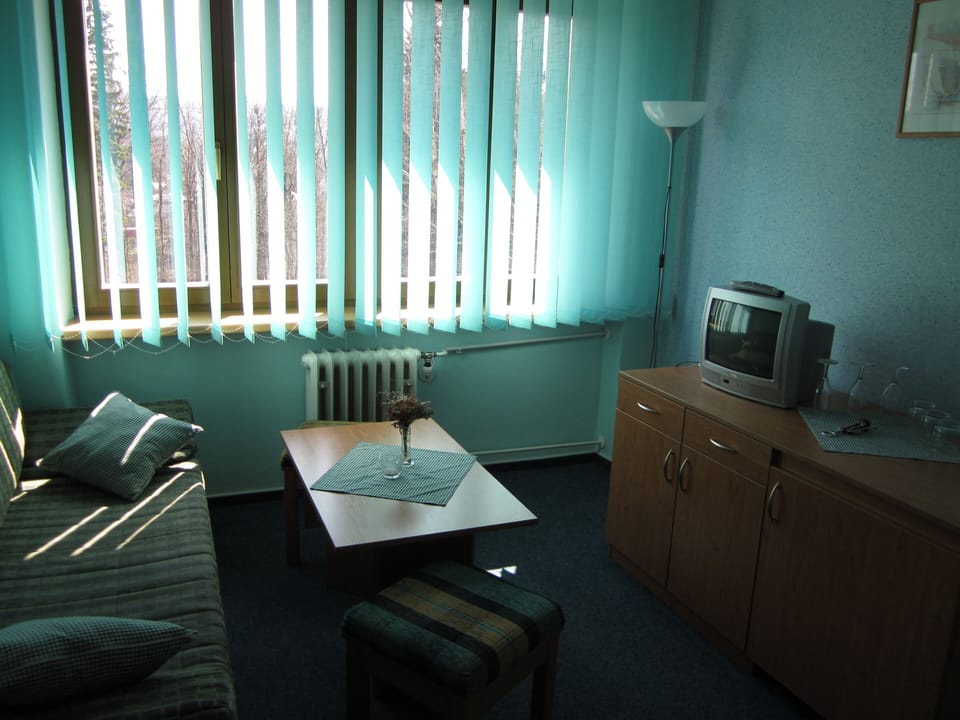 Apartment | Living room | 50-inch flat-screen TV with satellite channels, TV