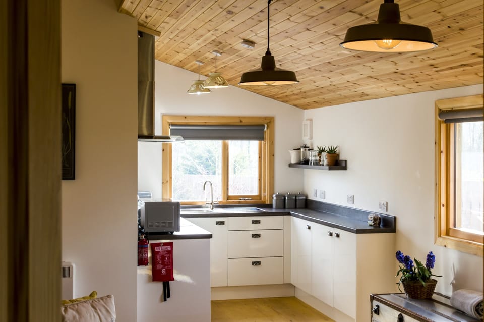 Villa (2 Bedrooms) | Private kitchen | Fridge, microwave, stovetop, electric kettle