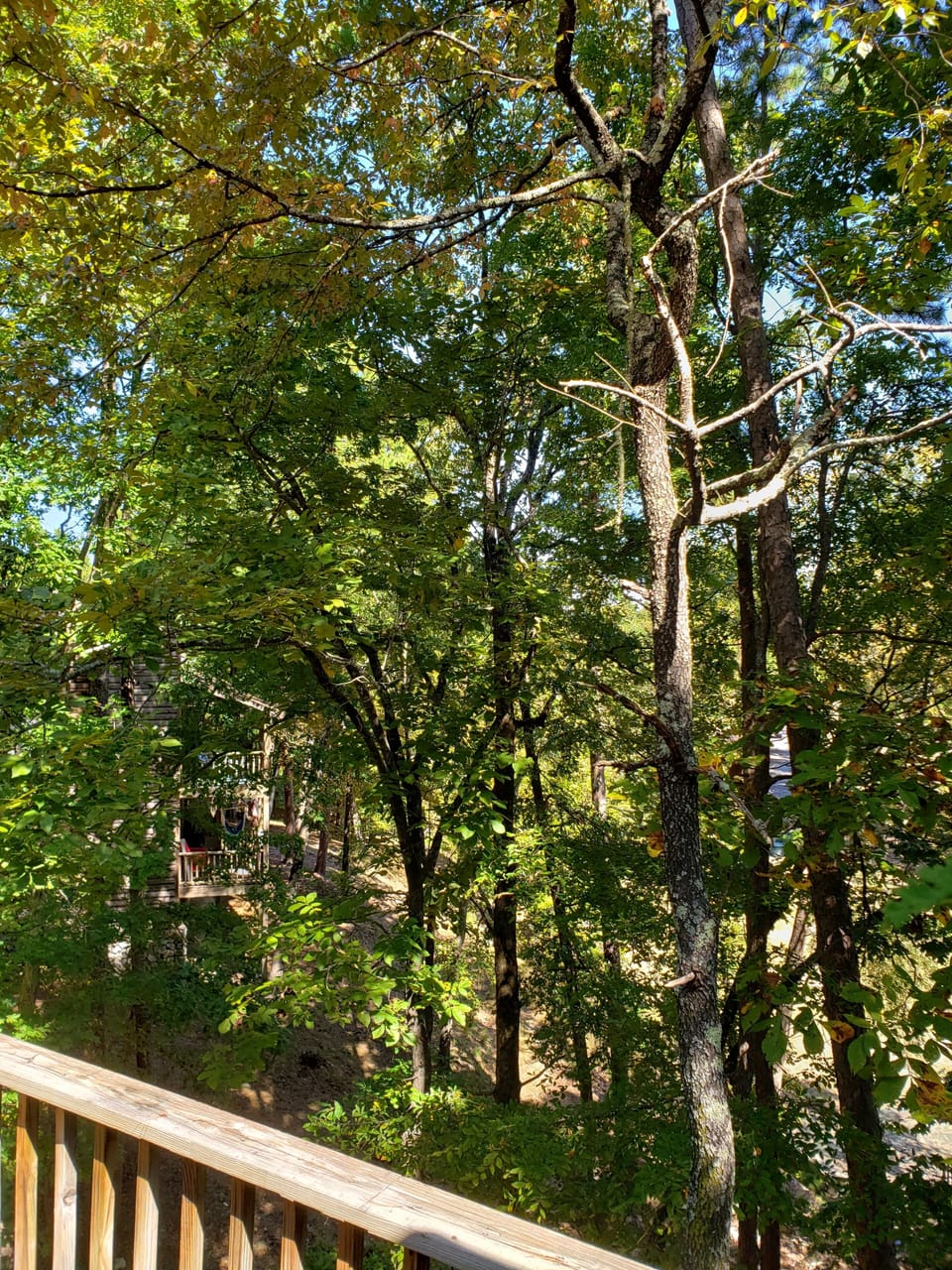 View from property