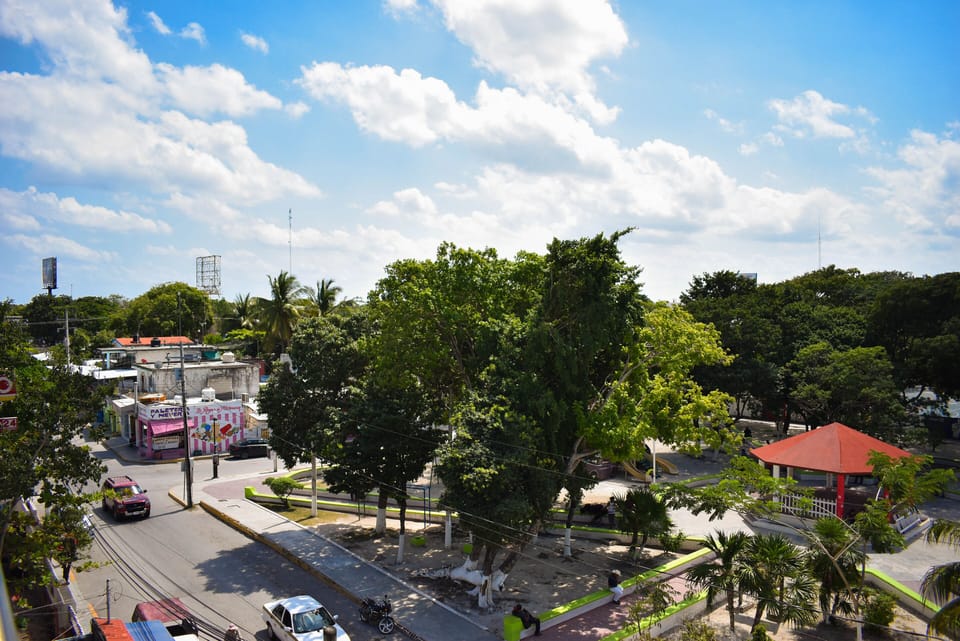 Park view