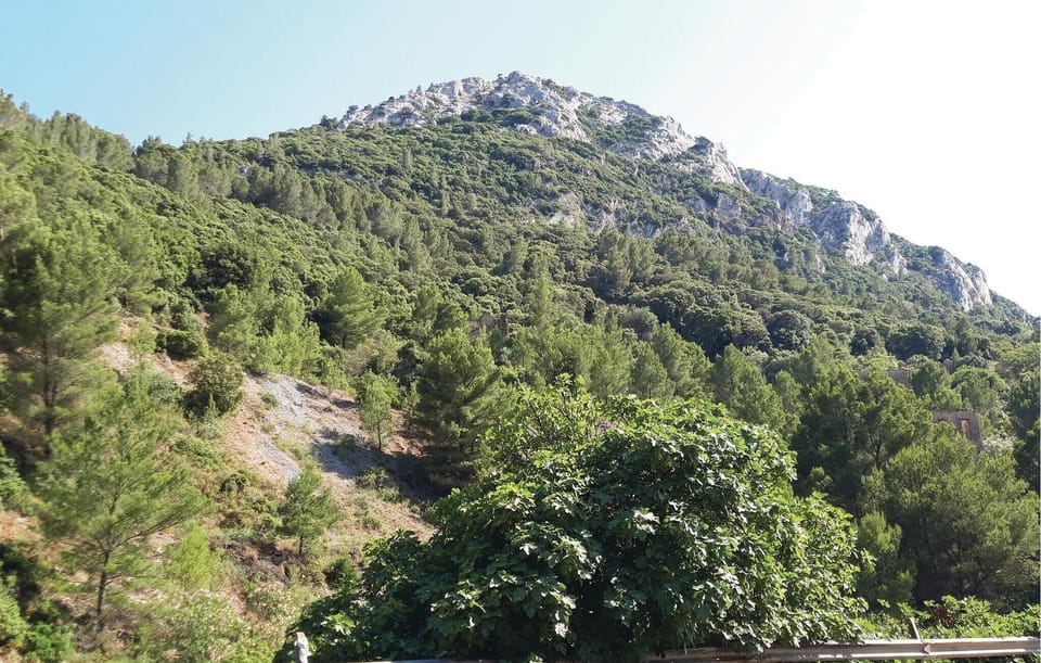 area