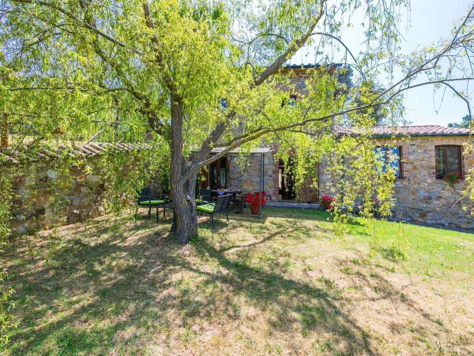 Spring, Bicycle, Garden, Backyard, Shade, Lawn, Yard