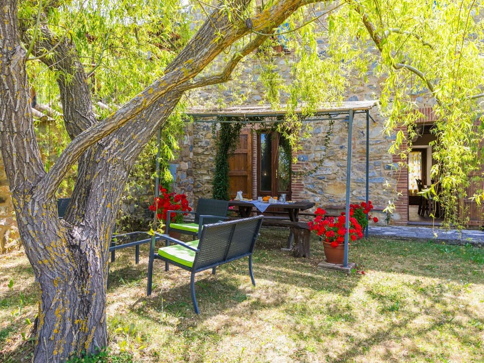 Leaf, Shrub, Garden, Groundcover, Spring, Shade, Cottage, Yard, Backyard, Landscaping