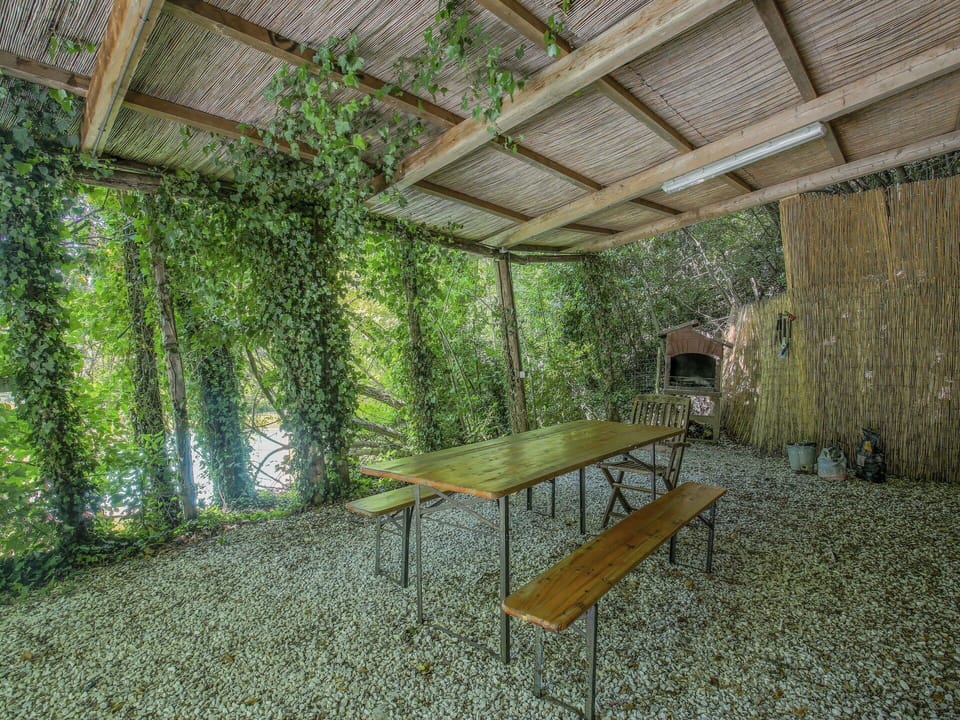 Plant, Table, Wood, Shade, Chair, Botany, Outdoor Furniture, Outdoor Bench, Outdoor Table, Tree