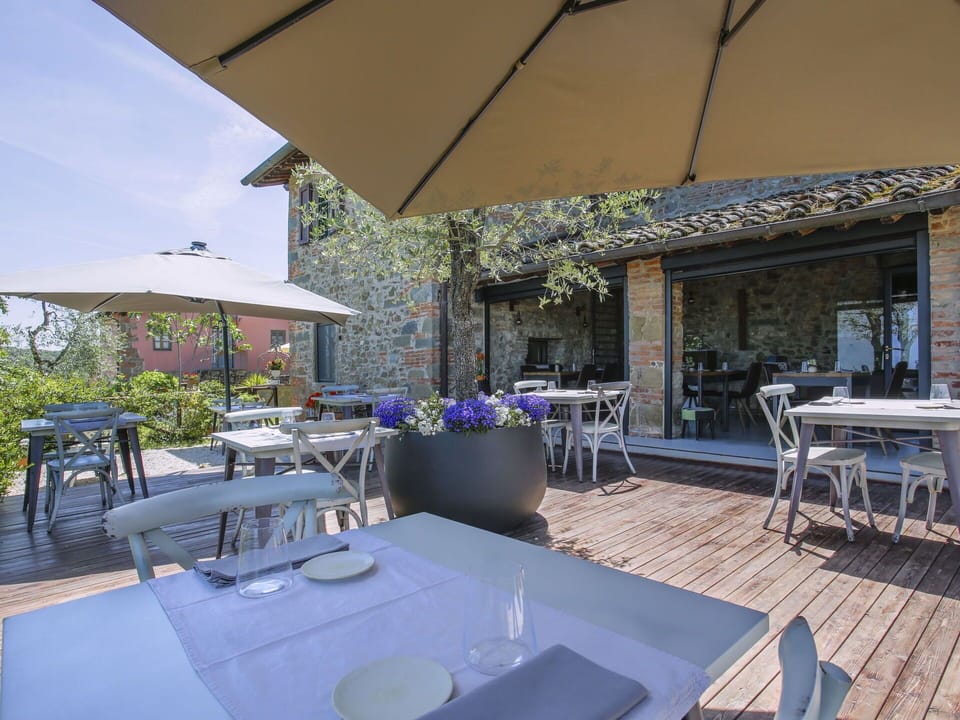 Table, Furniture, Chair, Plant, Shade, Interior Design, Outdoor Furniture, Flowerpot, Outdoor Table, Umbrella