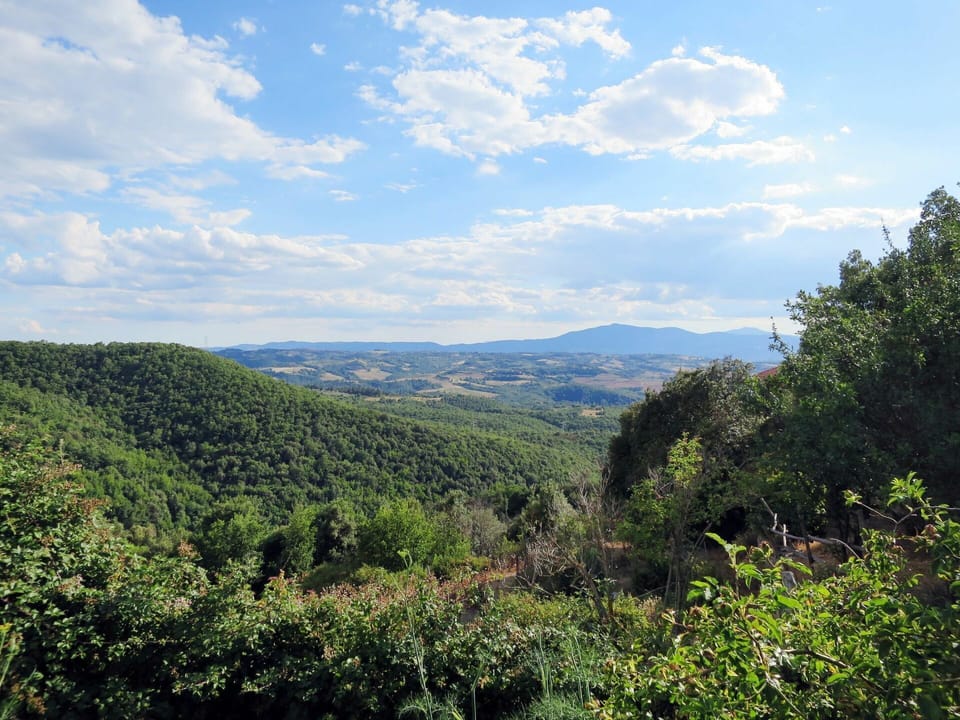 Vegetation, Mountainous Landforms, Nature, Natural Landscape, Sky, Nature Reserve, Natural Environment, Mountain, Wilderness, Hill Station