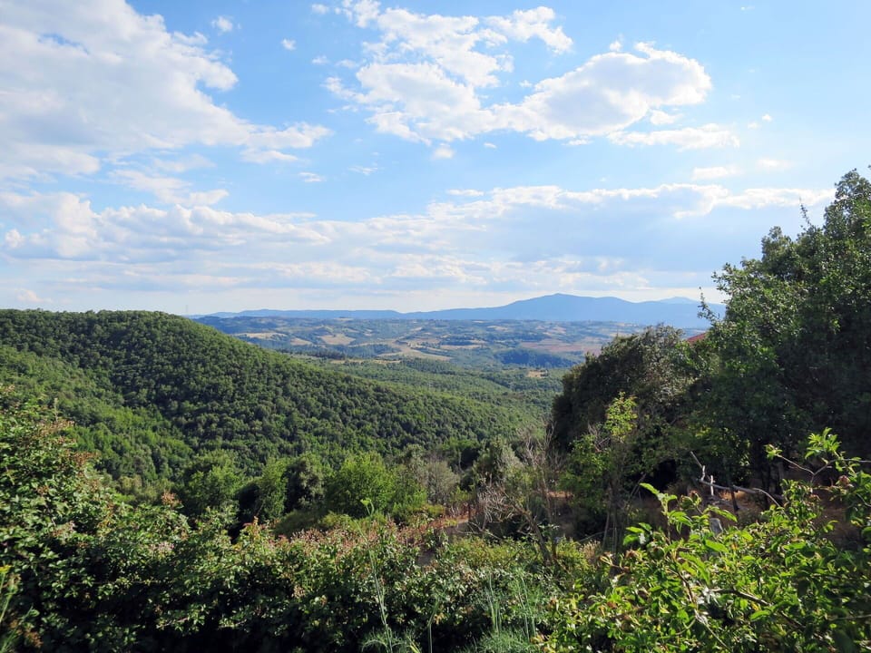 Vegetation, Mountainous Landforms, Nature, Natural Landscape, Sky, Nature Reserve, Natural Environment, Mountain, Wilderness, Hill Station