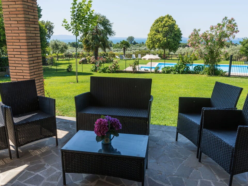 Plant, Furniture, Property, Sky, Flowerpot, Green, Tree, Chair, Table, Houseplant