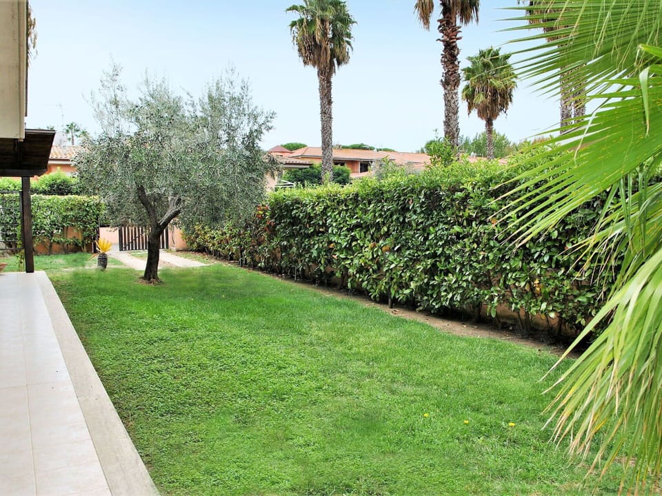 Grass, Lawn, Green, Vegetation, Property, Tree, Grass Family, Palm Tree, Real Estate, Plant