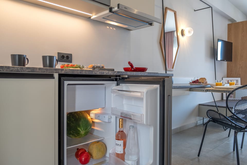 Mini-refrigerator