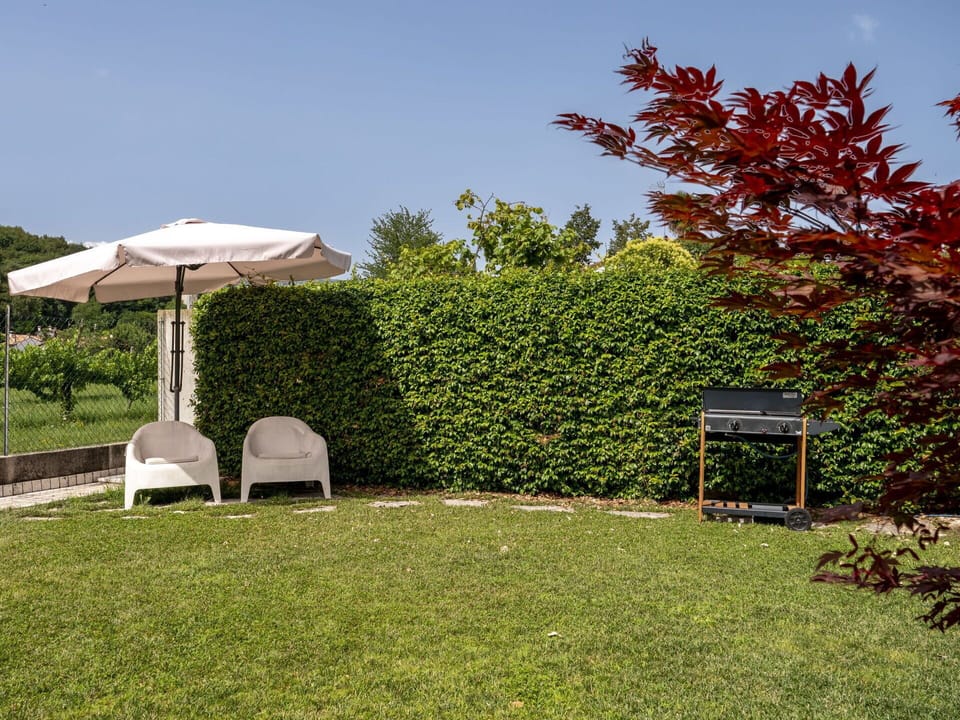 Plant, Sky, Plant Community, Natural Landscape, Land Lot, Tree, Shade, Outdoor Furniture, Grass, Landscape