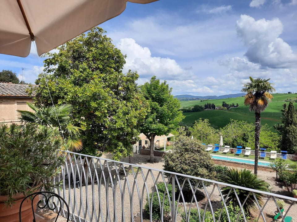 Pool from the terrace