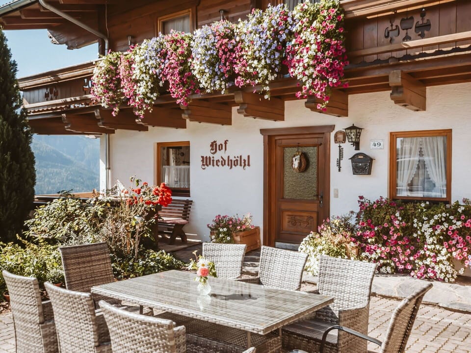 Plant, Flower, Building, Property, Window, Furniture, Table, Chair, House, Door