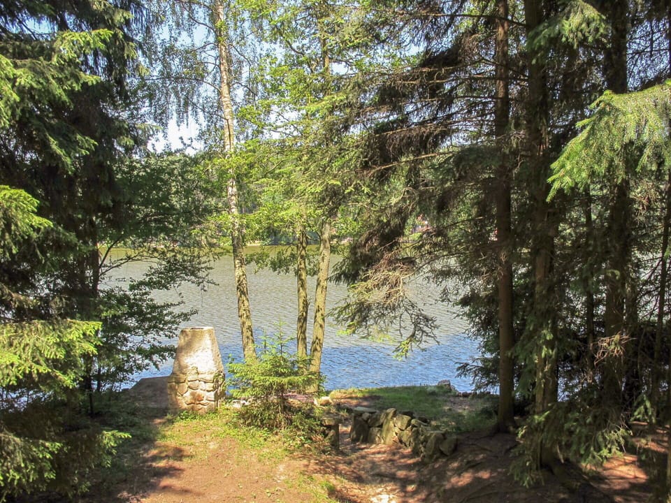 Water, Plant, Water Resources, Natural Landscape, Tree, Trunk, Body Of Water, Watercourse, Shade, Wood
