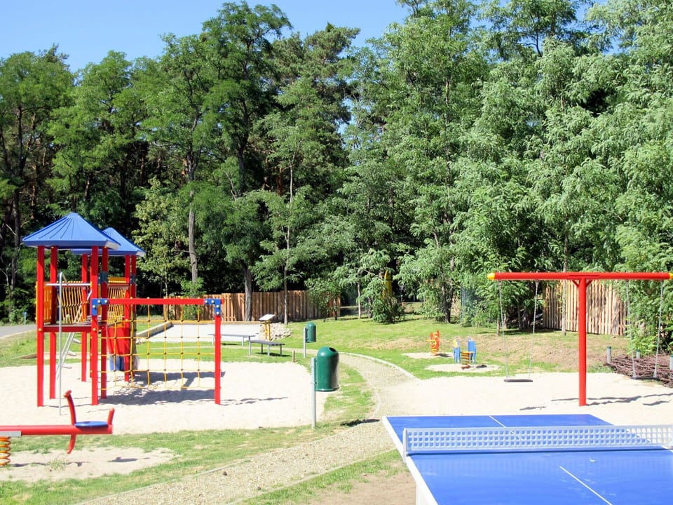 Playground, Public Space, Recreation, Outdoor Play Equipment, Human Settlement, Leisure, Park, Tree, City, Shade