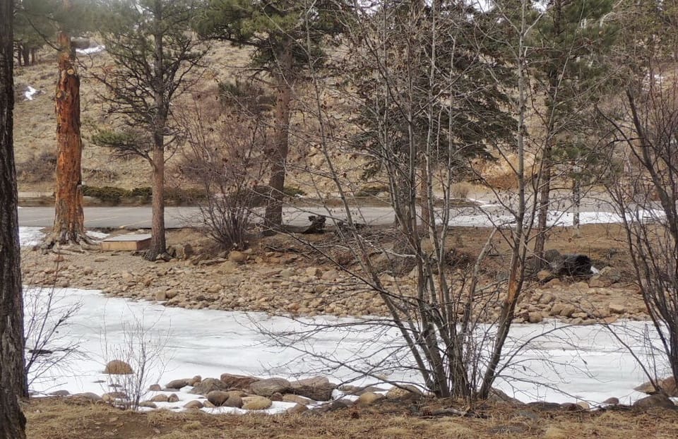 Frozen Big Thompson River out back