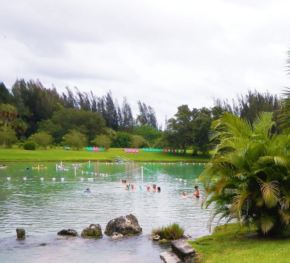 Warm Mineral Springs