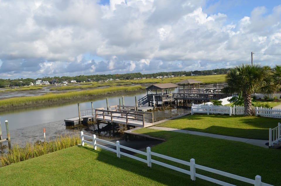 Looking North Up Creek