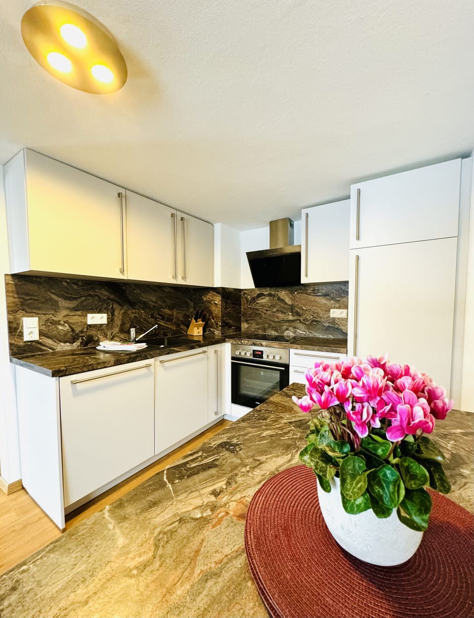 Comfort Apartment, 2 Bedrooms, Balcony | Private kitchen | Cleaning supplies
