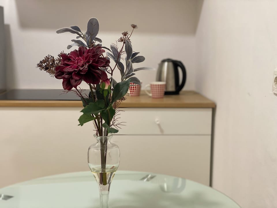 Standard Apartment | Private kitchen | Cookware/dishes/utensils, cleaning supplies