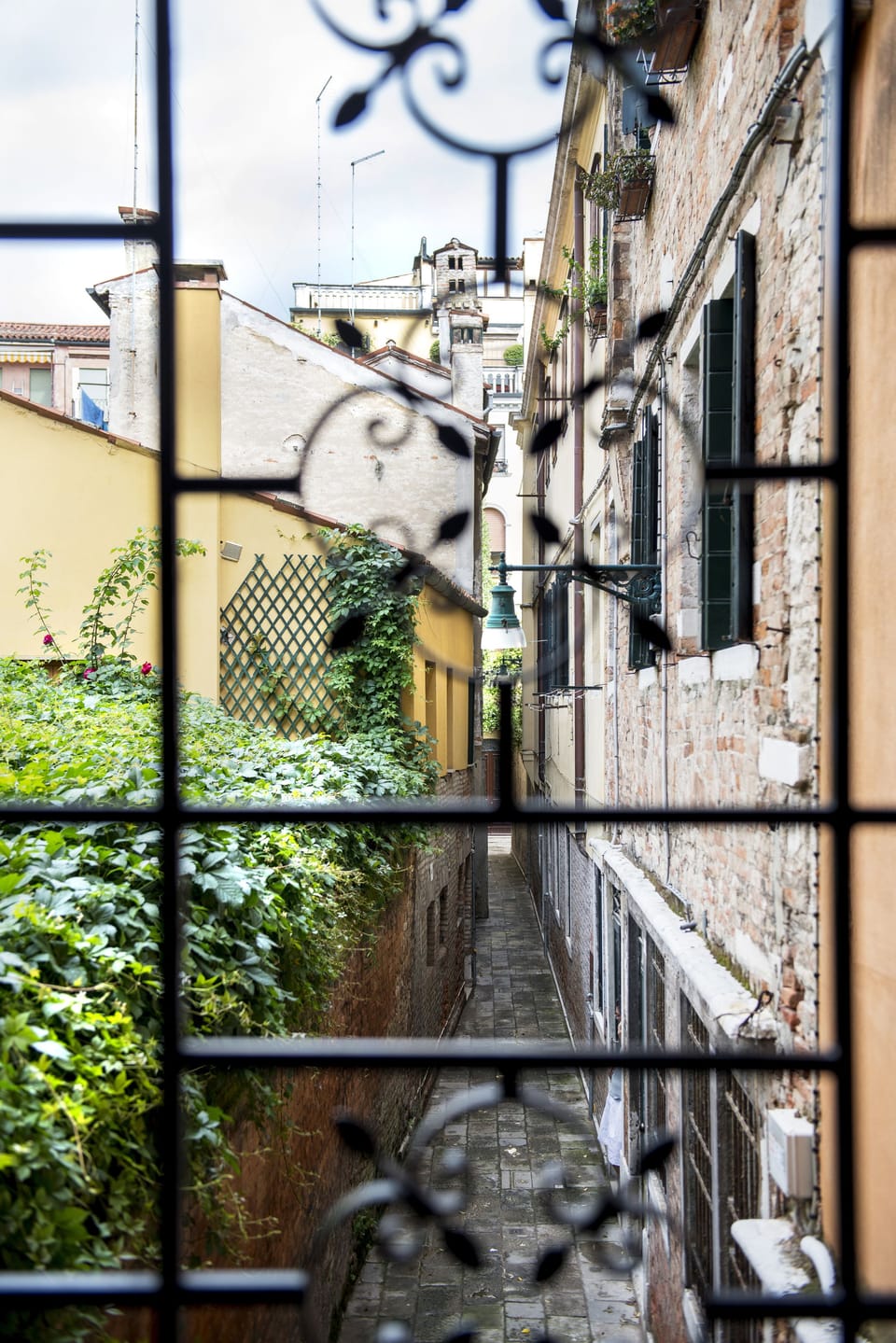 Standard Single Room | View from room