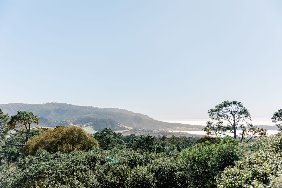 Panoramic views from Grand Living Room
📷 Nancy Fuentes Photography