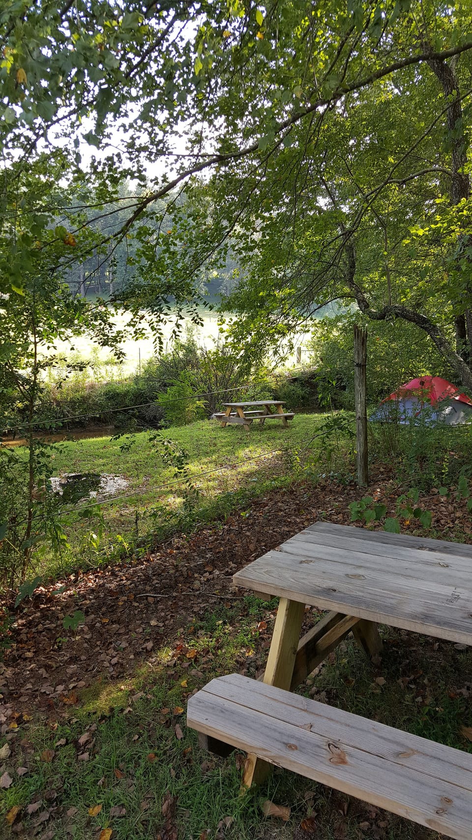 "over the river and through the woods....."